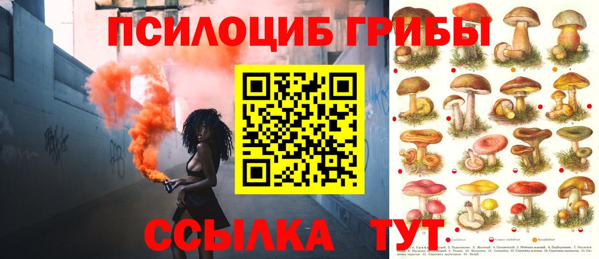 Галлюциногенные грибы прущие грибы  Галлюциногенные грибы Psilocybe  Надым  Вход с VPN 